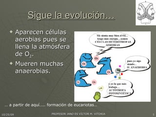 Sigue la evolución… Aparecen células aerobias pues se llena la atmósfera de O 2 . Mueren muchas anaerobias. …  a partir de aquí….. formación de eucariotas… 