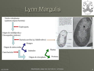 Lynn Margulis 