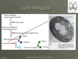 Lynn Margulis 