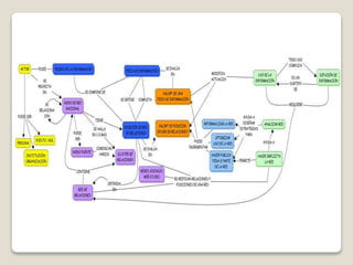 Teoría general de sistemas