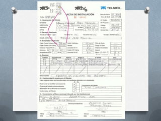 Teoría general de sistemas