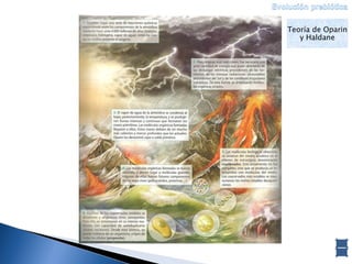 Teoría de Oparin y Haldane 