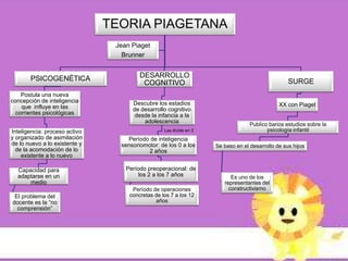 TEORIA PIAGETANA
                                Jean Piaget
                                  Brunner


       PSICOGENÉTICA                    DESARROLLO
                                         COGNITIVO                                                SURGE
    Postula una nueva
concepción de inteligencia           Descubre los estadios
    que influye en las                                                                        XX con Piaget
                                     de desarrollo cognitivo
  corrientes psicológicas             desde la infancia a la
                                         adolescencia                             Publico barios estudios sobre la
Inteligencia: proceso activo                      Las divide en 3                        psicología infantil
y organizado de asimilación        Período de inteligencia
de lo nuevo a lo existente y     sensoriomotor: de los 0 a los      Se baso en el desarrollo de sus hijos
  de la acomodación de lo                  2 años
    existente a lo nuevo

  Capacidad para                   Período preoperacional: de
  adaptarse en un                       los 2 a los 7 años                Es uno de los
      medio                                                            representantes del
                                     Período de operaciones              constructivismo
 El problema del                    concretas de los 7 a los 12
docente es la “no                             años
  comprensión”
 