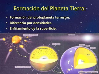 Formación del Planeta Tierra:
• Formación del protoplaneta terrestre.
• Diferencia por densidades.
• Enfriamiento de la superficie.
 