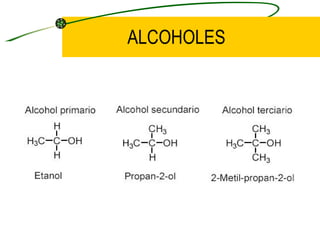 ALCOHOLES
