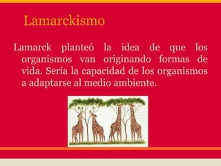 Lamarckismo
Lamarck planteó la idea de que los
organismos van originando formas de
vida. Sería la capacidad de los organismos
a adaptarse al medio ambiente.
 