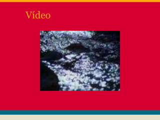 Vídeo
 