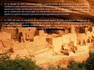 En la década de 1970 campesinos locales, específicamente pertenecientes a la familia Barría, cambiaron a pala y picota el curso del arroyo Chinchihuapi para facilitar el tránsito de sus yuntas de bueyes que tiraban carretas que transportaban largos troncos. Al año siguiente, la erosión causada por la modificación del arroyo dejó a la vista grandes huesos de mastodontes, que los habitantes locales no supieron reconocer, pero que los Barría guardaron por curiosidad.  En 1976, por azar, un estudiante de la Universidad Austral de Chile, Luis Werner, de paso por el lugar recibió los huesos de la familia Barría, y este se los entregó a los profesores Mauricio van de Maele y Troncoso, quienes visitaron Monte Verde e incrementaron la colección de huesos recogiendo los que estaban a la vista en los estratos del Chinchihuapi. 
