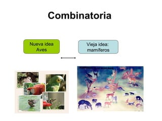 Combinatoria   Nueva idea Aves Vieja idea:  mamíferos 
