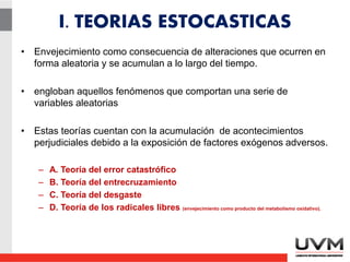 I. TEORIAS ESTOCASTICAS
• Envejecimiento como consecuencia de alteraciones que ocurren en
forma aleatoria y se acumulan a lo largo del tiempo.
• engloban aquellos fenómenos que comportan una serie de
variables aleatorias
• Estas teorías cuentan con la acumulación de acontecimientos
perjudiciales debido a la exposición de factores exógenos adversos.
– A. Teoría del error catastrófico
– B. Teoría del entrecruzamiento
– C. Teoría del desgaste
– D. Teoría de los radicales libres (envejecimiento como producto del metabolismo oxidativo).
 