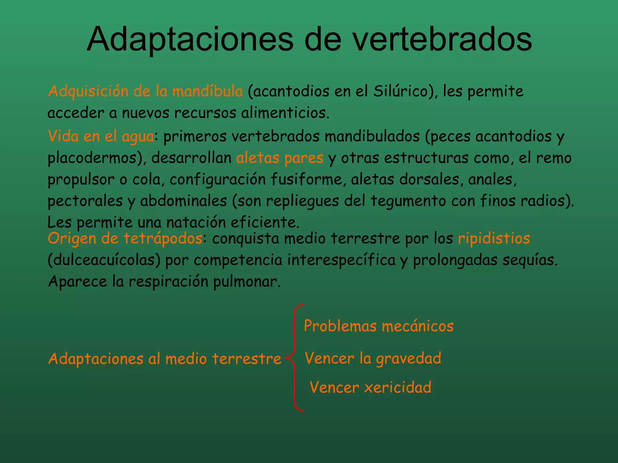 Adaptaciones de vertebrados Adquisición de la mandíbula  (acantodios en el Silúrico), les permite acceder a nuevos recursos alimenticios. Vida en el agua : primeros vertebrados mandibulados (peces acantodios y placodermos), desarrollan  aletas pares  y otras estructuras como, el remo propulsor o cola, configuración fusiforme, aletas dorsales, anales, pectorales y abdominales (son repliegues del tegumento con finos radios). Les permite una natación eficiente. Origen de tetrápodos : conquista medio terrestre por los  ripidistios  (dulceacuícolas) por competencia interespecífica y prolongadas sequías. Aparece la respiración pulmonar. Adaptaciones al medio terrestre Problemas mecánicos Vencer la gravedad Vencer xericidad 