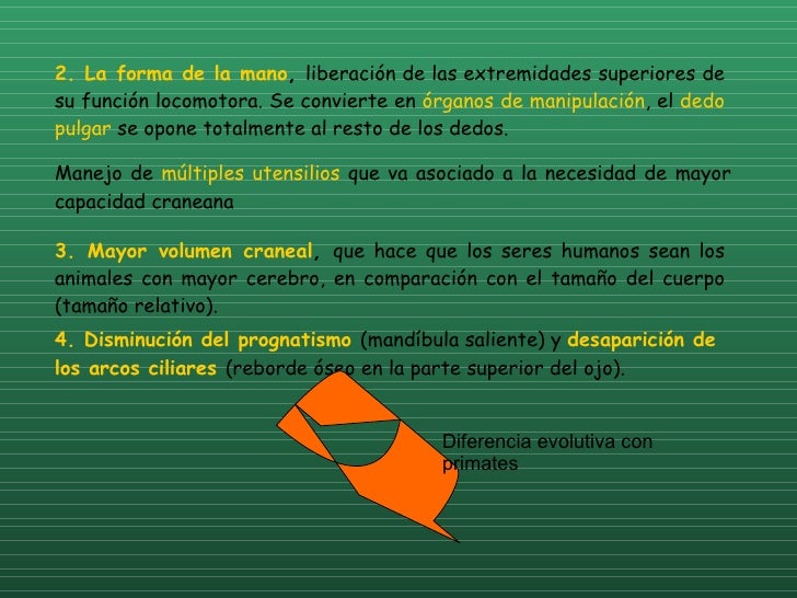 El medio público el tratamiento del hongo sobre la cabeza
