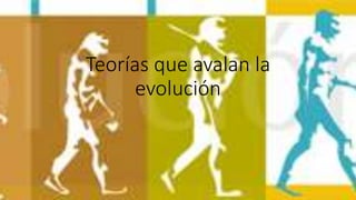 Teorías que avalan la
evolución
 