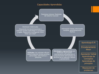 Capacidades Aprendidas


                                   Destrezas motoras: Destrezas
                                       del sistema muscular




         Destrezas Intelectuales
    Adquisición de discriminaciones y                         Información Verbal; Información,
cadenas simples hasta llegar a conceptos                         nombres, generalizaciones,
 y reglas. Responde a la pregunta Como                                    hechos.
             hacer que cosa?




                                                                                          Aprendizaje E-R
                                                                                         ______________
                                                                                          Encadenamiento
                                                                                               Motor
                                                   Estrategias cognoscitivas son
               Actitudes: las actitudes influyen        destrezas organizadas            ______________
               sobre la elección de las acciones    internamente que gobiernan el        Asociación Verbal
                  personales, ante hechos o        comportamiento del individuo en
                           personas.               términos de su atención, lectura
                                                                                           Aprendizaje de
                                                            y pensamiento                   Conceptos
                                                                                           Aprendizaje de
                                                                                             principios
                                                                                         _______________
                                                                                           Resolución de
                                                                                             problemas
 