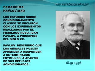 PARADIGMA PAVLOVIANO LOS ESTUDIOS SOBRE  CONDICIONAMIENTO CLASICO SE INICIARON  CON LOS EXPERIMENTOS REALIZADOS POR EL FISIOLOGO RUSO, IVAN PAVLOV, A PRINCIPIOS  DEL SIGLO XX. PAVLOV  DESCUBRIO QUE LOS ANIMALES PUEDEN APRENDER A RESPONDER A DETERMINADOS ESTIMULOS, A APARTIR  DE SUS REFLEJOS AONDICIONADOS. 1849-1936 IVÁN PETRÓVICH PÁVLOV .  