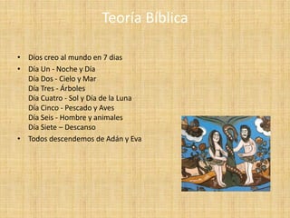 Teoría Bíblica

• Dios creo al mundo en 7 dias
• Día Un - Noche y Día
  Día Dos - Cielo y Mar
  Día Tres - Árboles
  Día Cuatro - Sol y Día de la Luna
  Día Cinco - Pescado y Aves
  Día Seis - Hombre y animales
  Día Siete – Descanso
• Todos descendemos de Adán y Eva
 