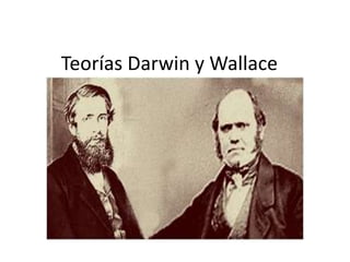 Teorías Darwin y Wallace
 