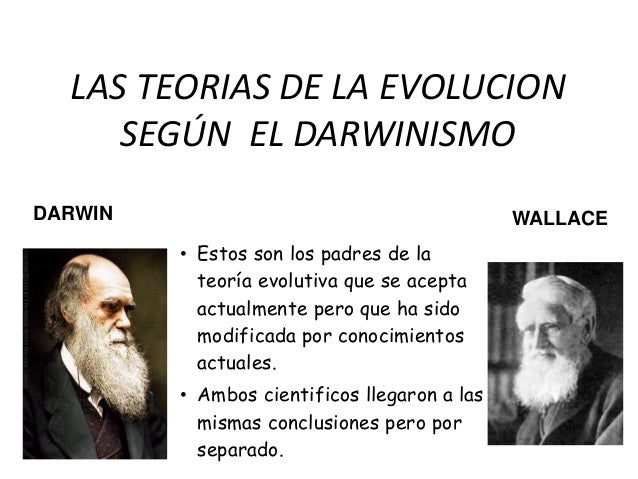 La Teoría de la Evolución de Wallace: Descubre sus Secretos_teorias Teoria funcionalista_teorias