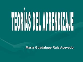 María Guadalupe Ruiz Acevedo
 
