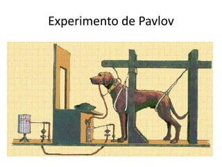 Experimento de Pavlov
 
