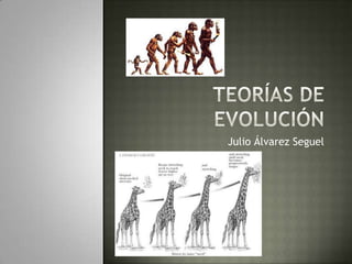 Teorías de evolución Julio Álvarez Seguel 