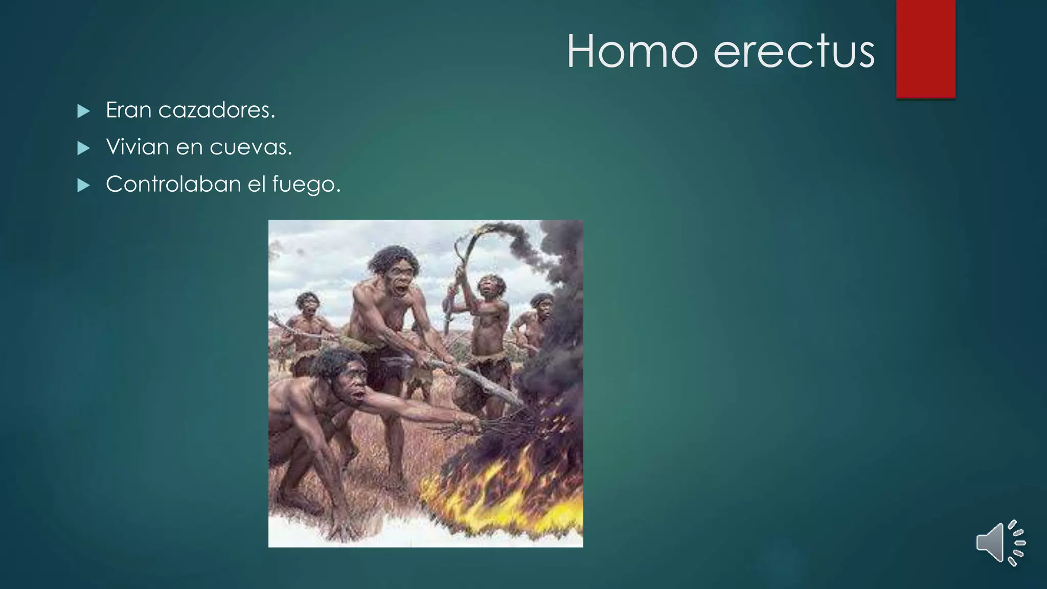 Homo erectus
Eran cazadores.
Vivian en cuevas.
Controlaban el fuego.