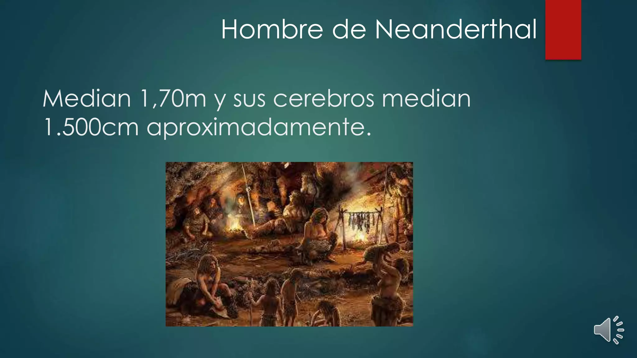 Median 1,70m y sus cerebros median
1.500cm aproximadamente.
Hombre de Neanderthal