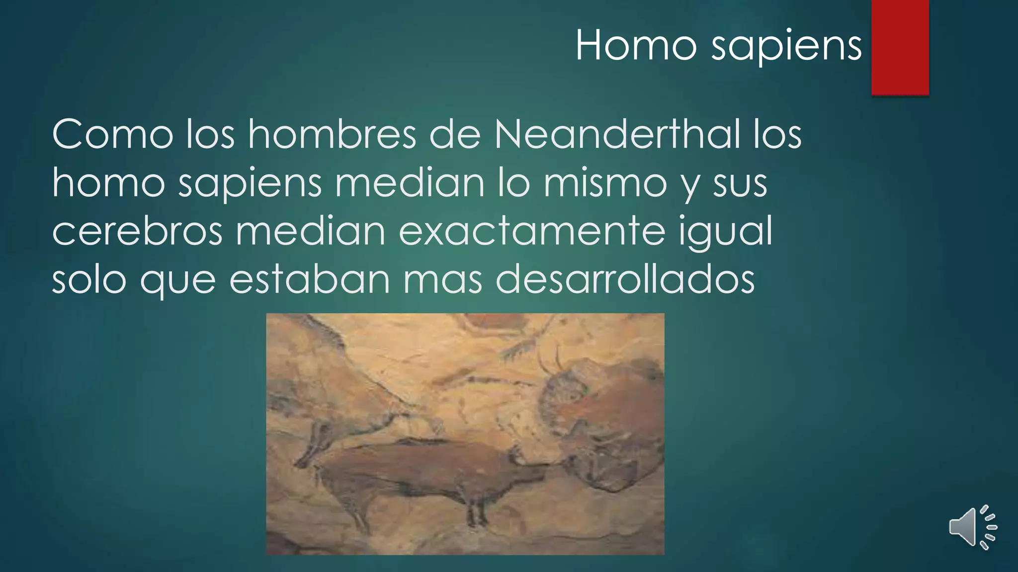 Como los hombres de Neanderthal los
homo sapiens median lo mismo y sus
cerebros median exactamente igual
solo que estaban mas desarrollados
Homo sapiens