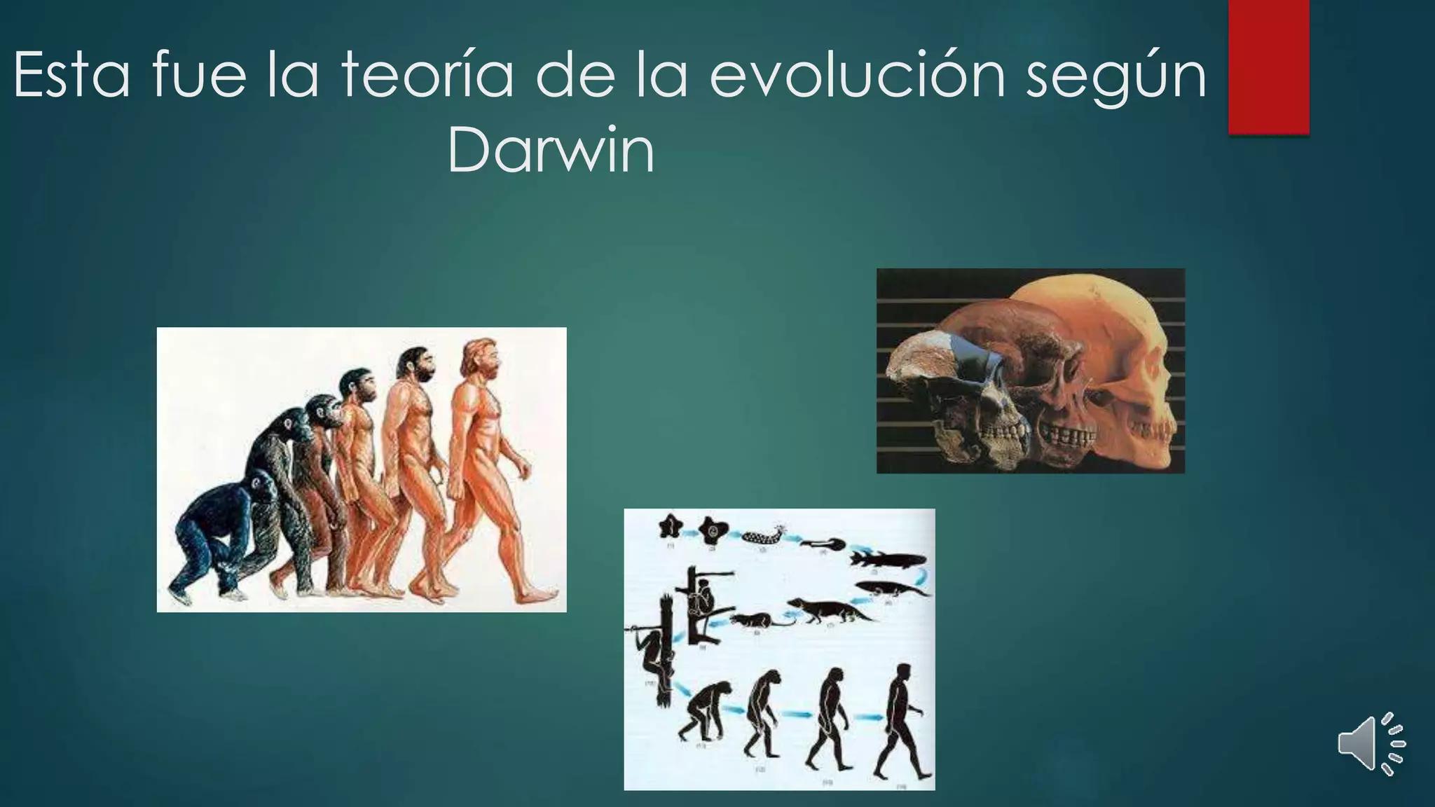 Esta fue la teoría de la evolución según
Darwin