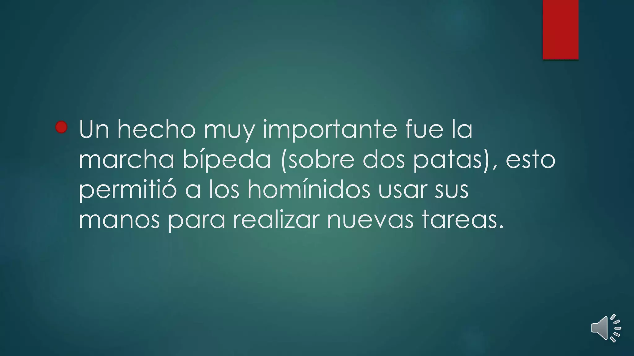 Un hecho muy importante fue la
marcha bípeda (sobre dos patas), esto
permitió a los homínidos usar sus
manos para realizar nuevas tareas.