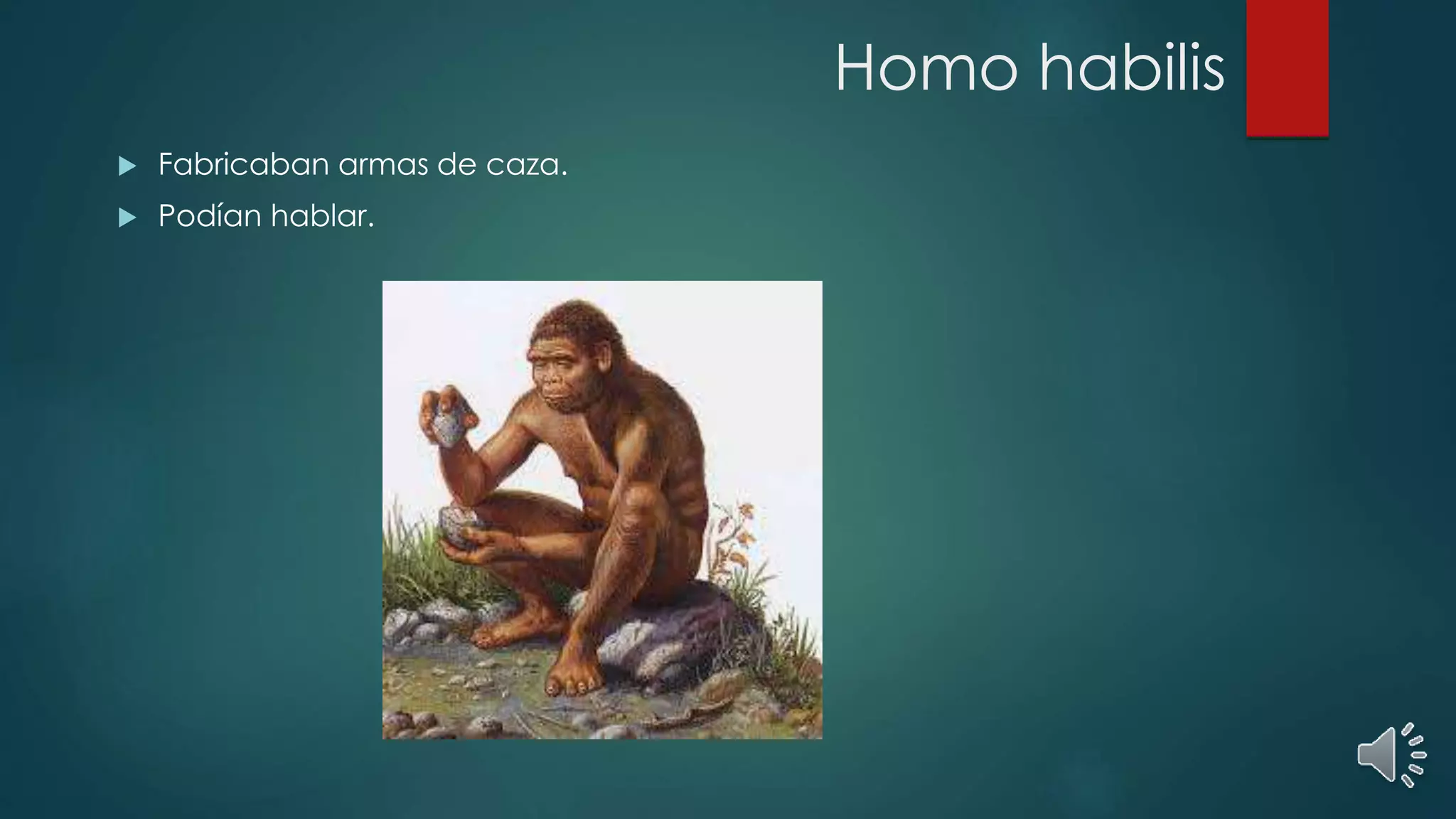 Homo habilis
Fabricaban armas de caza.
Podían hablar.