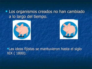 Los organismos creados no han cambiado a lo largo del tiempo. Las ideas fijistas se mantuvieron hasta el siglo XIX ( 1800). antes Después 