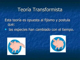 Teoría Transformista Esta teoría es opuesta al fijismo y postula que: las especies han cambiado con el tiempo. antes OinK 