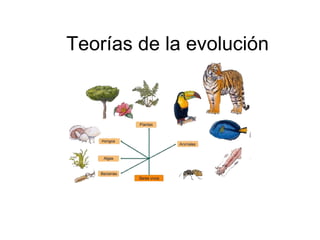Teorías de la evolución 