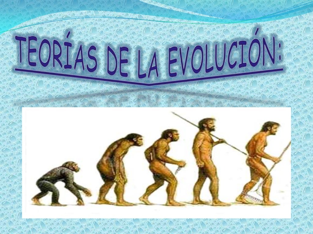 La conclusión definitiva sobre la teoría de la evolución: ¿Qué hemos aprendido?_teorias Conclusion de teoria de la evolucion_teorias