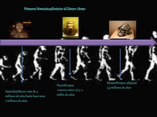 Australopithecus: más de 4
millones de años hasta hace unos
2 millones de años.
Paranthropus:
vivieron entre 2,6 y 1,1
millón de años
Kenyanthropus platyops:
3,5 millones de años
PrimerosHomininos(Anterioral GéneroHomo)
 