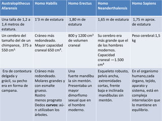 Australopithecus
Afarensis
Homo Habilis Homo Erectus Homo
Neanderthalensis
Homo Sapiens
Una talla de 1,2 a
1,4 metros de
estatura.
1'3 m de estatura 1,80 m de
estatura
1,65 m de estatura 1,75 m aprox.
de estatura
Un cerebro del
tamaño del de un
chimpance, 375 a
550 cm3.
Cráneo más
redondeado.
Mayor capacidad
craneal 650 cm³.
800 y 1200 cm3
de volumen
craneal
Su cerebro era
más grande que el
de los hombres
modernos.
Capacidad
craneal —1.500
cm³
Peso cerebral:1,5
kg
Era de contextura
delgada y
grácil, su pecho
era en forma de
campana.
Cráneo más
redondeado.
Molares grandes y
con esmalte
grueso.
Rostro
menos prognato
Dedos curvos: aú-
n utilizaban los
árboles.
Una
fuerte mandíbu
la sin mentón.
Presentaba un
mayor
dimorfismo
sexual que en
el hombre
moderno.
Esqueleto robusto,
pelvis ancha,
extremidades
cortas, frente
baja e inclinada
mandíbulas sin
mentón.
En el organismo
humano,cada
órgano, tejido,
aparato y
sistema, está en
compleja
interrelación que
lo mantiene en
equilibrio.
 