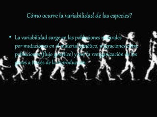 ¿Cómo ocurre la variabilidad de las especies?
• La variabilidad surge en las poblaciones naturales
por mutaciones en el material genético, migraciones entre
poblaciones (flujo genético) y por la reorganización de los
genes a través de la reproducción sexual.
 
