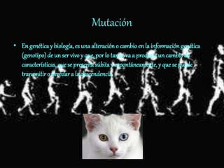 Mutación
• En genéticay biología, es una alteración o cambio en la informacióngenética
(genotipo) de unser vivo y que, por lo tanto, va a producir un cambiode
características, que se presentasúbita y espontáneamente, y que se puede
transmitir o heredar a la descendencia.
 