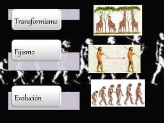 Transformismo
Fijismo
Evolución
 