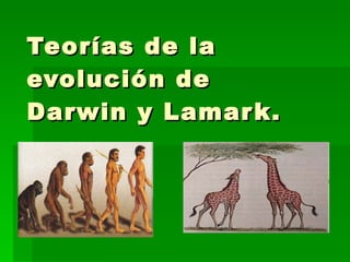 Teorías de la evolución de Darwin y Lamark. 