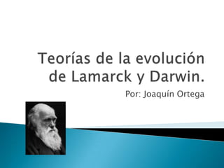 Teorías de la evolución de Lamarck y Darwin. Por: Joaquín Ortega 