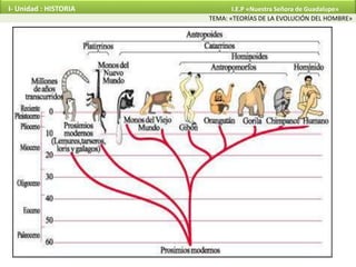 Teorías de la evolución del hombre | PPTX