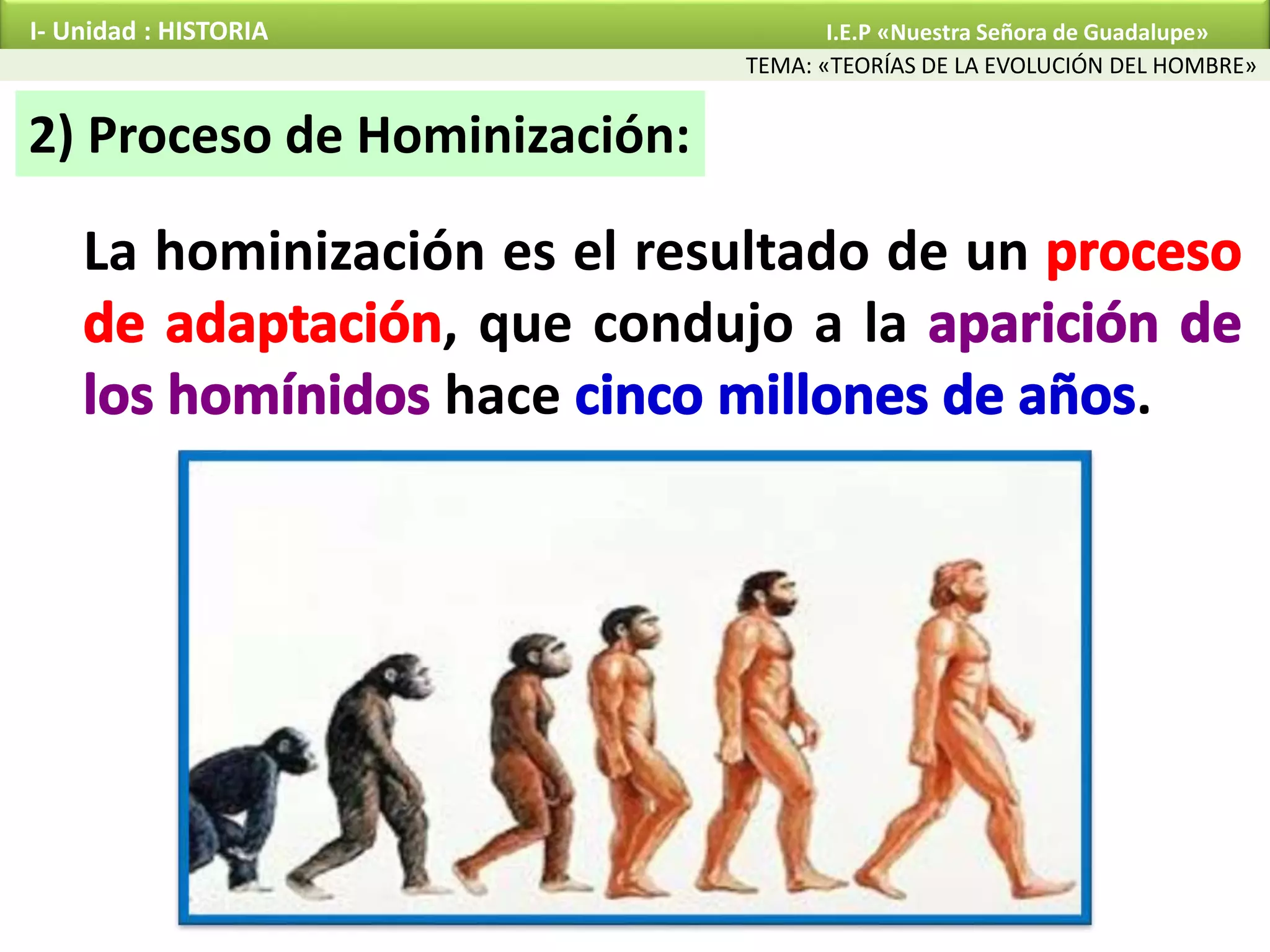 Teorías de la evolución del hombre | PPTX