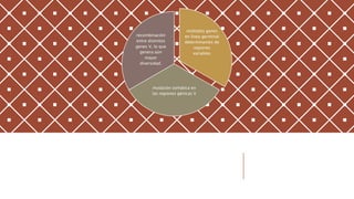 múltiples genes
en línea germinal
determinantes de
regiones
variables
mutación somática en
las regiones génicas V
recombinación
entre distintos
genes V, lo que
genera aún
mayor
diversidad.
 