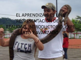 EL APRENDIZAJE ES UNA REPRESENTACIÓN DE LA REALIDAD, INTRODUCTORIO, EXPERTO Y AVANZADO