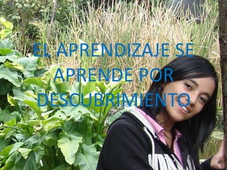 EL APRENDIZAJE SE APRENDE POR DESCUBRIMIENTO