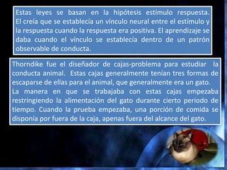 Estas leyes se basan en la hipótesis estímulo respuesta.
 El creía que se establecía un vínculo neural entre el estímulo y
 la respuesta cuando la respuesta era positiva. El aprendizaje se
 daba cuando el vínculo se establecía dentro de un patrón
 observable de conducta.

Thorndike fue el diseñador de cajas-problema para estudiar la
conducta animal. Estas cajas generalmente tenían tres formas de
escaparse de ellas para el animal, que generalmente era un gato.
La manera en que se trabajaba con estas cajas empezaba
restringiendo la alimentación del gato durante cierto periodo de
tiempo. Cuando la prueba empezaba, una porción de comida se
disponía por fuera de la caja, apenas fuera del alcance del gato.
 