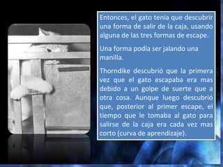 Entonces, el gato tenía que descubrir
una forma de salir de la caja, usando
alguna de las tres formas de escape.
Una forma podía ser jalando una
manilla.
Thorndike descubrió que la primera
vez que el gato escapaba era mas
debido a un golpe de suerte que a
otra cosa. Aunque luego descubrió
que, posterior al primer escape, el
tiempo que le tomaba al gato para
salirse de la caja era cada vez mas
corto (curva de aprendizaje).
 