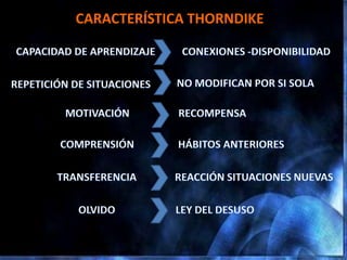 CARACTERÍSTICA THORNDIKE
 
